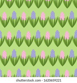 Seamless pattern with pink and purple hyacinths. Spring flower. Vector drawn background for fabric and other surfaces.