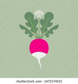 Seamless pattern. Pink radish, leaves and flowers on shabby background. Ripe vegetable.