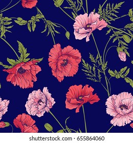 Seamless pattern with pink and red poppy flowers in botanical style on a blue background.  Vector illustration.