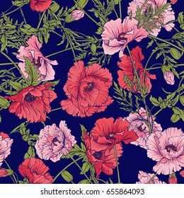 Seamless pattern with pink and red poppy flowers in botanical style on a blue background. Vector illustration.