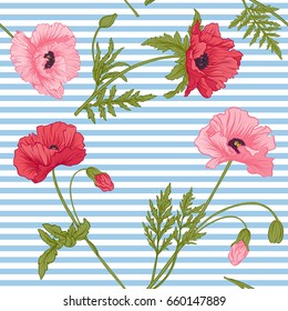 Seamless pattern with pink and red poppy flowers in botanical st
