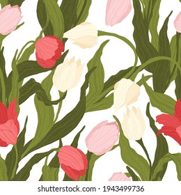 Seamless pattern of pink, red and white tulip flowers on white background. Vector illustration. Best for wrapping, textile or print design. Symbol of springtime. 