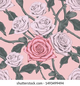 Seamless pattern pink rose flowers on pink pastel isolated background.Vector illustration hand drawing dry watercolor style.For used wallpaper design,textile fabric or wrapping paper.