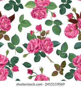 Seamless pattern of pink roses, leaves, bud and stems on white background, vector botanical illustration