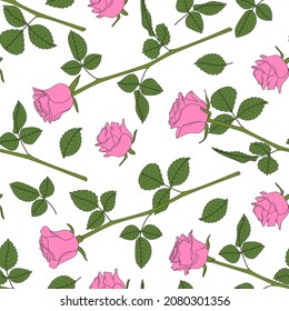 Seamless pattern with pink roses. Vector colored floral background.