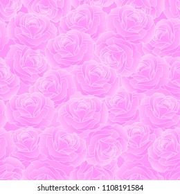 Seamless pattern pink roses with white line on pink background