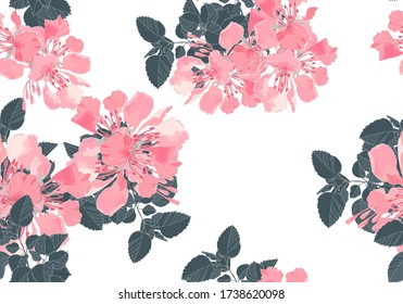 Seamless pattern of pink Royal poinciana on white background