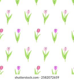 Seamless pattern with pink tulips on a white background. Vector illustration background. Flat illustration.