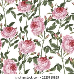 Seamless pattern with pink vintage roses. Vector