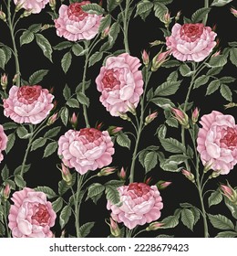Seamless pattern with pink vintage roses. Vector