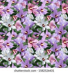 Seamless pattern with pink, white and lilac hibiscus flowers, vector illustration.
