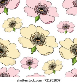 Seamless pattern of pink and yellow flowering of dog rose on white background. Rose hip vector illustration.