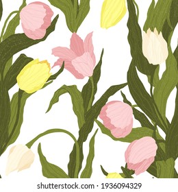 Seamless pattern of pink, yellow and white tulip flowers on white background. Vector illustration. Best for wrapping, textile or print design. Symbol of springtime. 