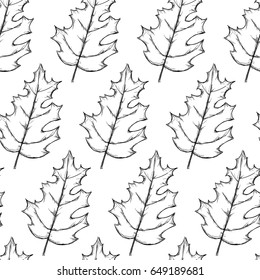 Seamless Pattern Of  Pinnately Lobed Leaves Hand Drawn Sketch Outline