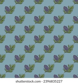 Seamless pattern with Pinus sibirica, or Siberian pine, ornamental and medicinal plant. Hand drawn botanical vector illustration