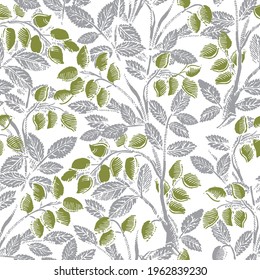 Un patrón sin fisuras con planta de pistacho inspirado en la vieja ilustración. Útil para el envasado de alimentos y el fondo de la pantalla.
