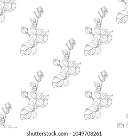 Seamless pattern. Plant in blossom, branch with flower ink sketch. Template for a business card, banner, poster, notebook, invitation, color book. Vector illustration for your design