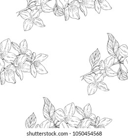 Seamless pattern. Plant in blossom, branch with flower ink sketch. Template for a business card, banner, poster, notebook, invitation, color book. Vector illustration for your design