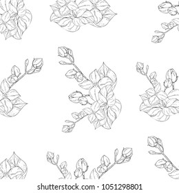 Seamless pattern. Plant in blossom, branch with flower ink sketch. Template for a business card, banner, poster, notebook, invitation, color book. Vector illustration for your design