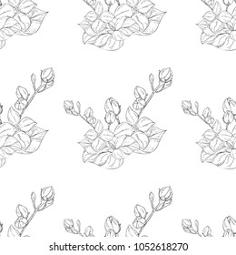 Seamless pattern. Plant in blossom, branch with flower ink sketch. Template for a business card, banner, poster, notebook, invitation, color book. Vector illustration for your design