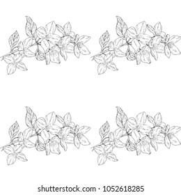 Seamless pattern. Plant in blossom, branch with flower ink sketch. Template for a business card, banner, poster, notebook, invitation, color book. Vector illustration for your design
