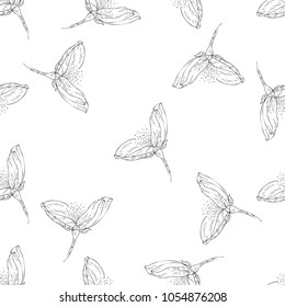 Seamless pattern. Plant in blossom, branch with flower ink sketch. Template for a business card, banner, poster, notebook, invitation, color book. Vector illustration for your design