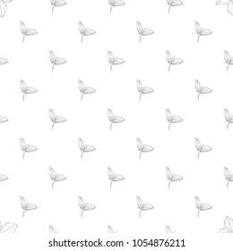 Seamless pattern. Plant in blossom, branch with flower ink sketch. Template for a business card, banner, poster, notebook, invitation, color book. Vector illustration for your design