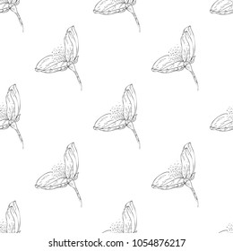 Seamless pattern. Plant in blossom, branch with flower ink sketch. Template for a business card, banner, poster, notebook, invitation, color book. Vector illustration for your design