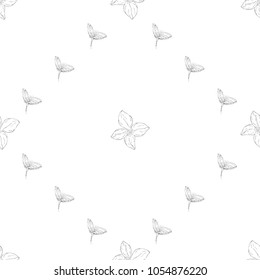Seamless pattern. Plant in blossom, branch with flower ink sketch. Template for a business card, banner, poster, notebook, invitation, color book. Vector illustration for your design