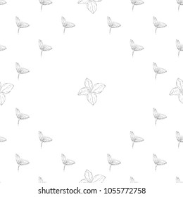 Seamless pattern. Plant in blossom, branch with flower ink sketch. Template for a business card, banner, poster, notebook, invitation, color book. Vector illustration for your design