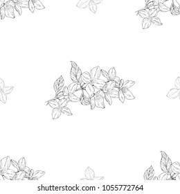 Seamless pattern. Plant in blossom, branch with flower ink sketch. Template for a business card, banner, poster, notebook, invitation, color book. Vector illustration for your design