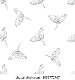 Seamless pattern. Plant in blossom, branch with flower ink sketch. Template for a business card, banner, poster, notebook, invitation, color book. Vector illustration for your design