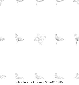 Seamless pattern. Plant in blossom, branch with flower ink sketch. Template for a business card, banner, poster, notebook, invitation, color book. Vector illustration for your design