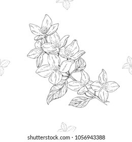 Seamless pattern. Plant in blossom, branch with flower ink sketch. Template for a business card, banner, poster, notebook, invitation, color book. Vector illustration for your design