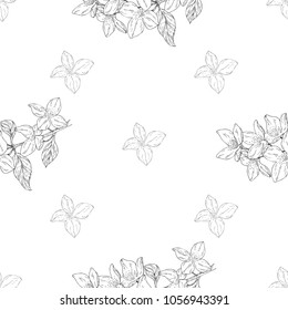 Seamless pattern. Plant in blossom, branch with flower ink sketch. Template for a business card, banner, poster, notebook, invitation, color book. Vector illustration for your design