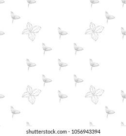 Seamless pattern. Plant in blossom, branch with flower ink sketch. Template for a business card, banner, poster, notebook, invitation, color book. Vector illustration for your design