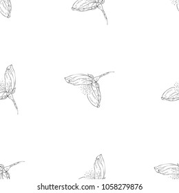 Seamless pattern. Plant in blossom, branch with flower ink sketch. Template for a business card, banner, poster, notebook, invitation, color book. Vector illustration for your design