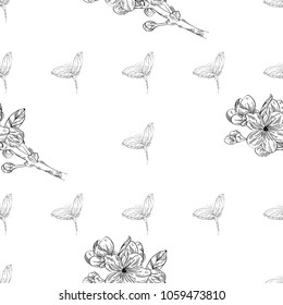 Seamless pattern. Plant in blossom, branch with flower ink sketch. Template for a business card, banner, poster, notebook, invitation, colorbook. Vector illustration for your design