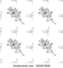 Seamless pattern. Plant in blossom, branch with flower ink sketch. Template for a business card, banner, poster, notebook, invitation, colorbook. Vector illustration for your design
