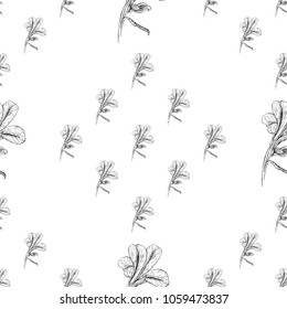 Seamless pattern. Plant in blossom, branch with flower ink sketch. Template for a business card, banner, poster, notebook, invitation, colorbook. Vector illustration for your design