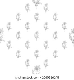 Seamless pattern. Plant in blossom, branch with flower ink sketch. Template for a business card, banner, poster, notebook, invitation, colorbook. Vector illustration for your design