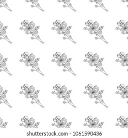 Seamless pattern. Plant in blossom, branch with flower ink sketch. Template for a business card, banner, poster, notebook, invitation, colorbook. Vector illustration for your design