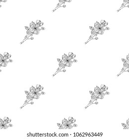 Seamless pattern. Plant in blossom, branch with flower ink sketch. Template for a business card, banner, poster, notebook, invitation, colorbook. Vector illustration for your design