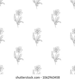 Seamless pattern. Plant in blossom, branch with flower ink sketch. Template for a business card, banner, poster, notebook, invitation, colorbook. Vector illustration for your design