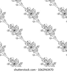 Seamless pattern. Plant in blossom, branch with flower ink sketch. Template for a business card, banner, poster, notebook, invitation, colorbook. Vector illustration for your design