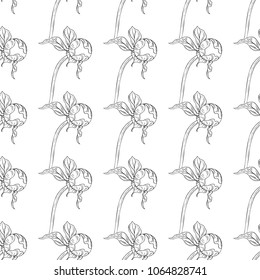Seamless pattern. Plant in blossom, branch with flower ink sketch. Template for a business card, banner, poster, notebook, invitation, color book. Vector illustration for your design