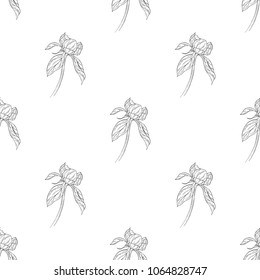 Seamless pattern. Plant in blossom, branch with flower ink sketch. Template for a business card, banner, poster, notebook, invitation, color book. Vector illustration for your design