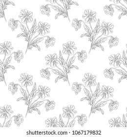 Seamless pattern. Plant in blossom, branch with flower ink sketch. Template for a business card, banner, poster, notebook, invitation, color book. Vector illustration for your design