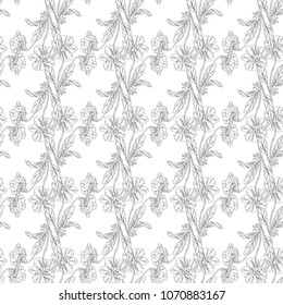 Seamless pattern. Plant in blossom, branch with flower ink sketch. Template for a business card, banner, poster, notebook, invitation, color book. Vector illustration for your design