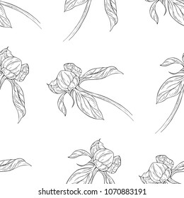 Seamless pattern. Plant in blossom, branch with flower ink sketch. Template for a business card, banner, poster, notebook, invitation, color book. Vector illustration for your design